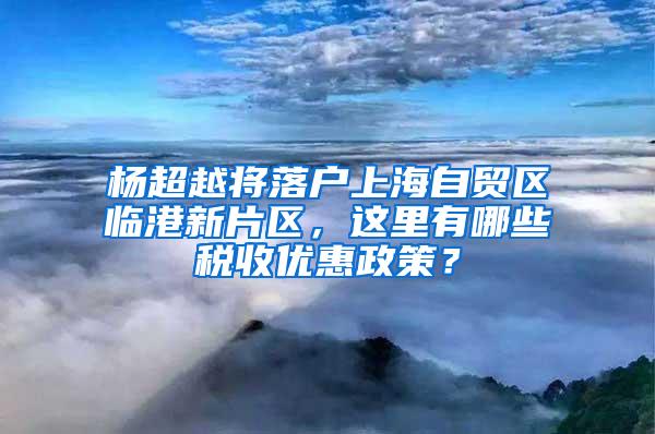 杨超越将落户上海自贸区临港新片区，这里有哪些税收优惠政策？