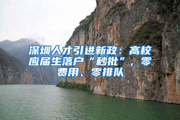 深圳人才引进新政：高校应届生落户“秒批”, 零费用、零排队