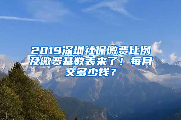 2019深圳社保缴费比例及缴费基数表来了！每月交多少钱？