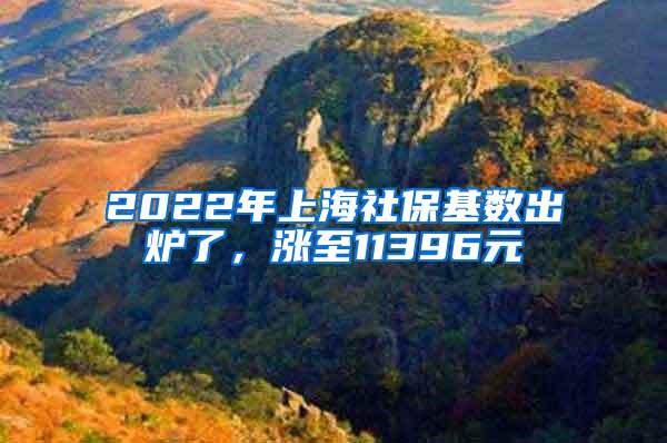 2022年上海社保基数出炉了，涨至11396元