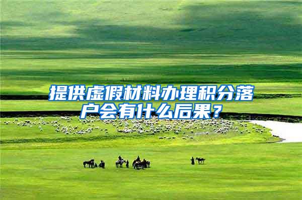 提供虚假材料办理积分落户会有什么后果？