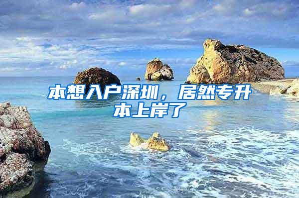 本想入户深圳，居然专升本上岸了