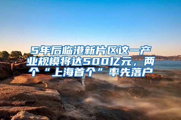 5年后临港新片区这一产业规模将达500亿元，两个“上海首个”率先落户