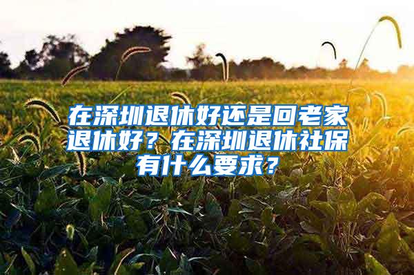 在深圳退休好还是回老家退休好？在深圳退休社保有什么要求？