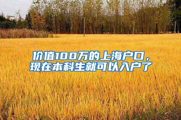 价值100万的上海户口，现在本科生就可以入户了