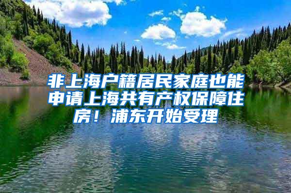 非上海户籍居民家庭也能申请上海共有产权保障住房！浦东开始受理