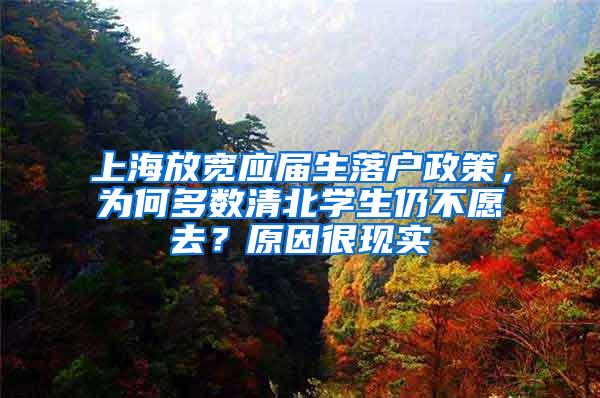 上海放宽应届生落户政策，为何多数清北学生仍不愿去？原因很现实