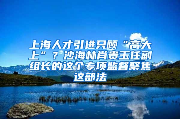 上海人才引进只顾“高大上”？沙海林肖贵玉任副组长的这个专项监督聚焦这部法