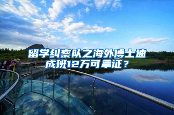 留学纠察队之海外博士速成班12万可拿证？