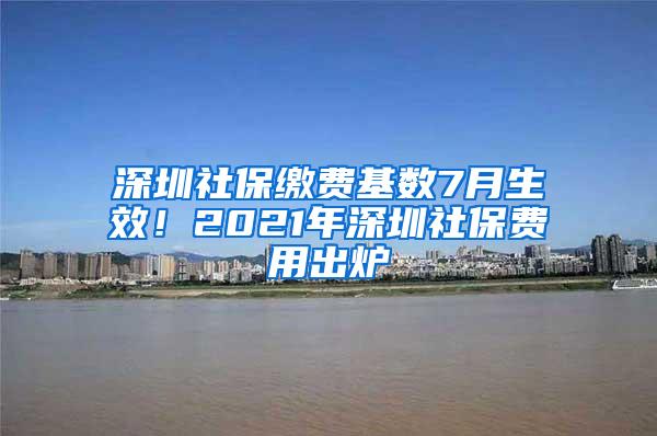 深圳社保缴费基数7月生效！2021年深圳社保费用出炉