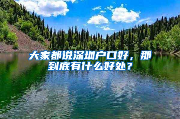 大家都说深圳户口好，那到底有什么好处？