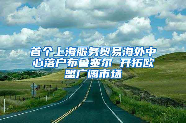 首个上海服务贸易海外中心落户布鲁塞尔 开拓欧盟广阔市场