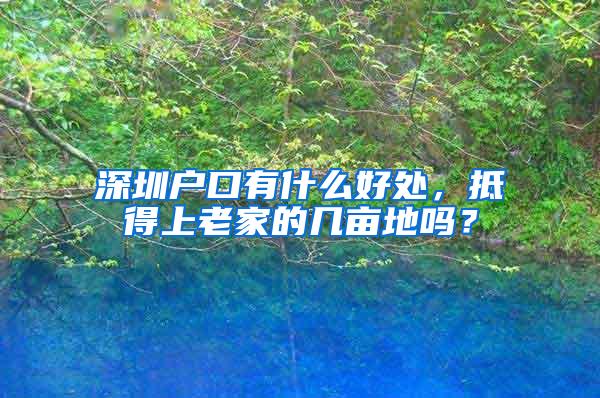 深圳户口有什么好处，抵得上老家的几亩地吗？