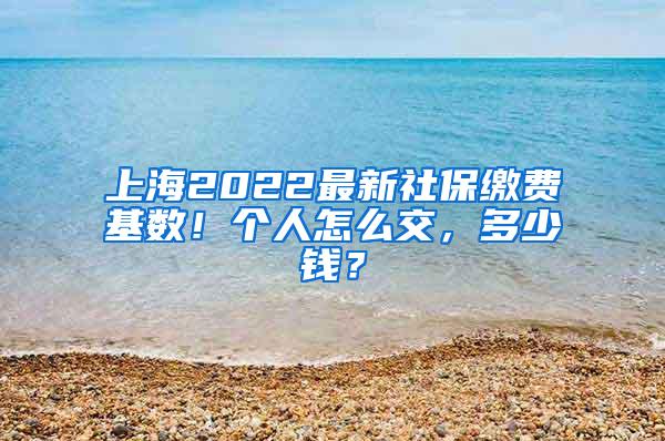 上海2022最新社保缴费基数！个人怎么交，多少钱？