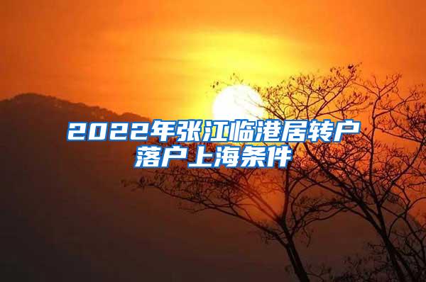 2022年张江临港居转户落户上海条件