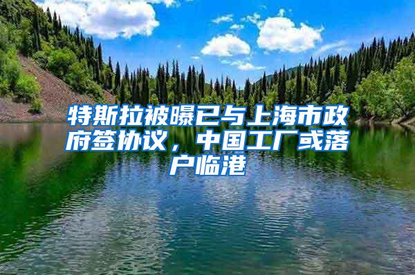 特斯拉被曝已与上海市政府签协议，中国工厂或落户临港