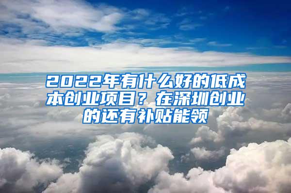 2022年有什么好的低成本创业项目？在深圳创业的还有补贴能领