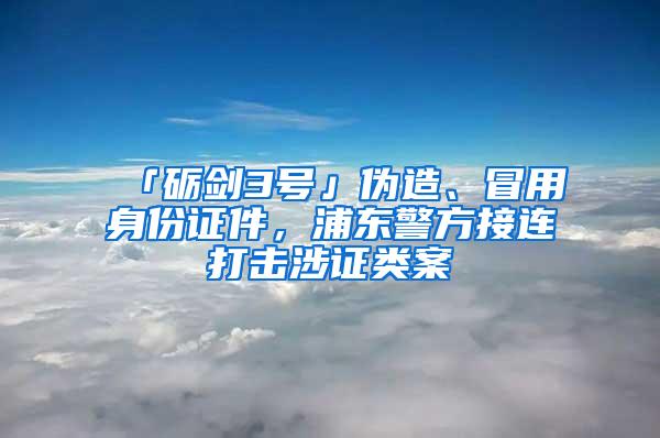 「砺剑3号」伪造、冒用身份证件，浦东警方接连打击涉证类案