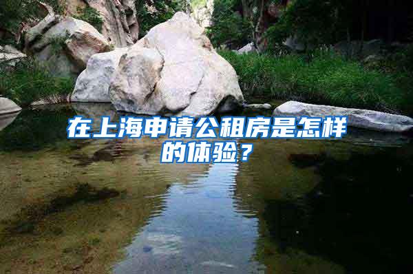 在上海申请公租房是怎样的体验？