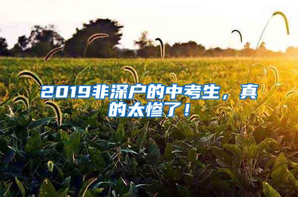 2019非深户的中考生，真的太惨了！