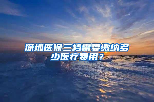 深圳医保三档需要缴纳多少医疗费用？