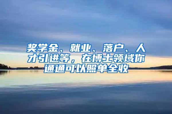 奖学金、就业、落户、人才引进等，在博士领域你通通可以照单全收