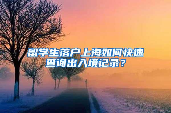 留学生落户上海如何快速查询出入境记录？