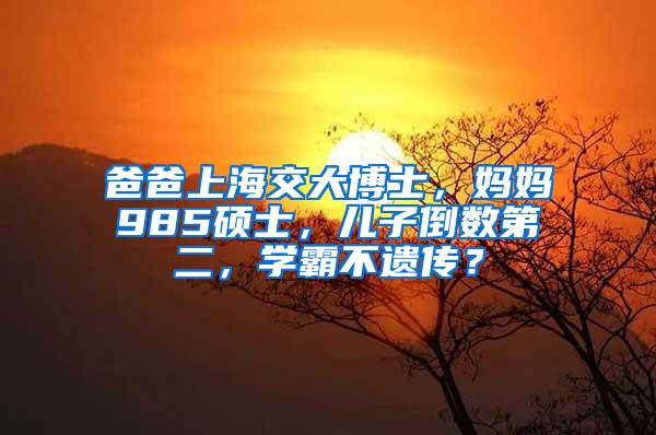 爸爸上海交大博士，妈妈985硕士，儿子倒数第二，学霸不遗传？