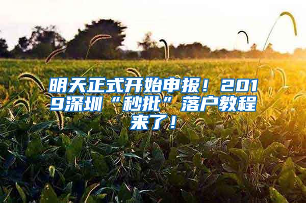 明天正式开始申报！2019深圳“秒批”落户教程来了！