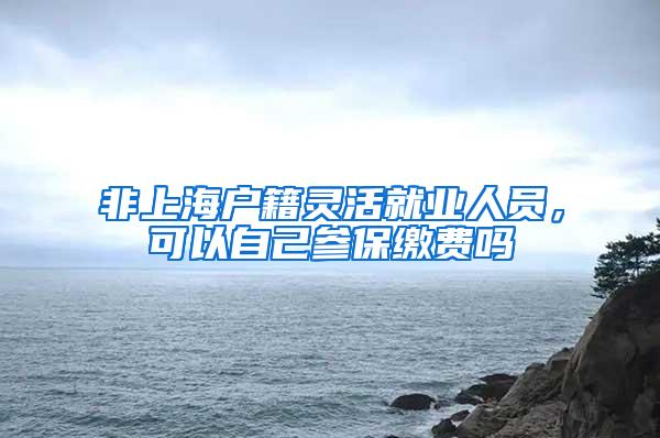 非上海户籍灵活就业人员，可以自己参保缴费吗