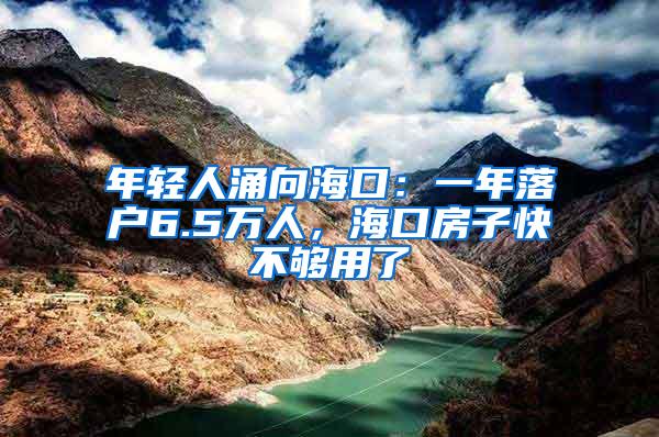 年轻人涌向海口：一年落户6.5万人，海口房子快不够用了