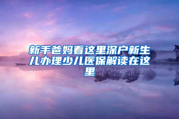 新手爸妈看这里深户新生儿办理少儿医保解读在这里