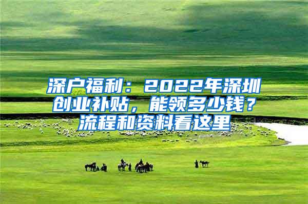 深户福利：2022年深圳创业补贴，能领多少钱？流程和资料看这里