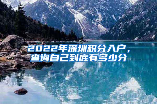 2022年深圳积分入户，查询自己到底有多少分