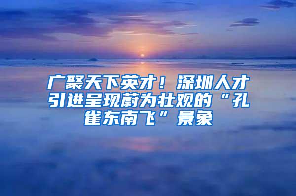 广聚天下英才！深圳人才引进呈现蔚为壮观的“孔雀东南飞”景象