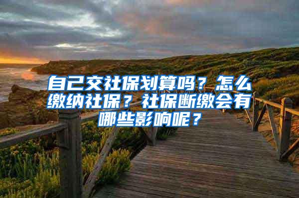 自己交社保划算吗？怎么缴纳社保？社保断缴会有哪些影响呢？