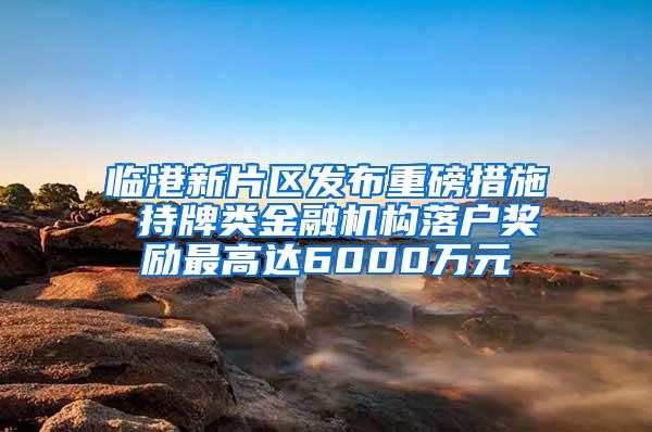 临港新片区发布重磅措施 持牌类金融机构落户奖励最高达6000万元