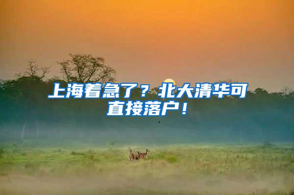 上海着急了？北大清华可直接落户！