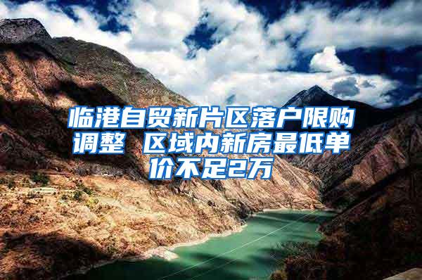 临港自贸新片区落户限购调整 区域内新房最低单价不足2万