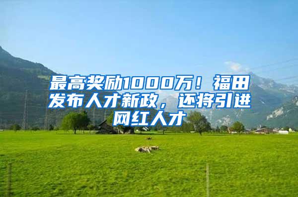 最高奖励1000万！福田发布人才新政，还将引进网红人才