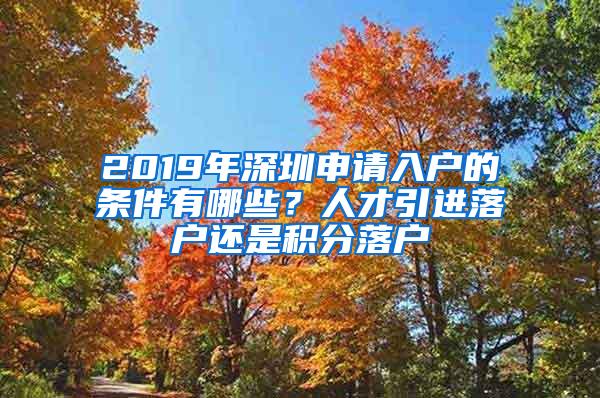 2019年深圳申请入户的条件有哪些？人才引进落户还是积分落户