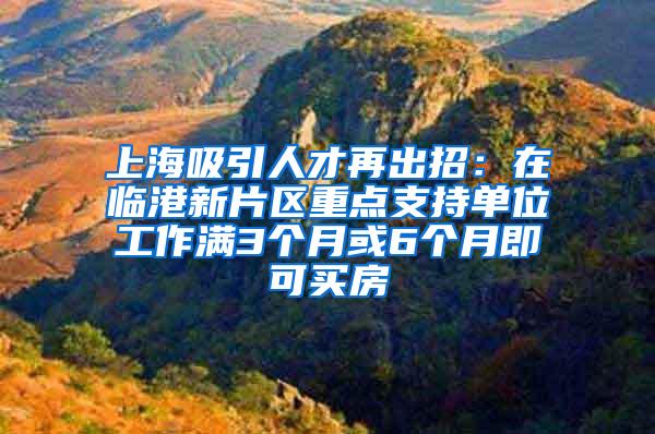 上海吸引人才再出招：在临港新片区重点支持单位工作满3个月或6个月即可买房