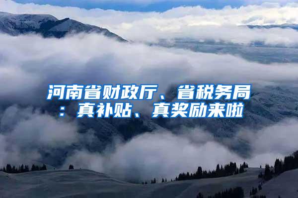 河南省财政厅、省税务局：真补贴、真奖励来啦