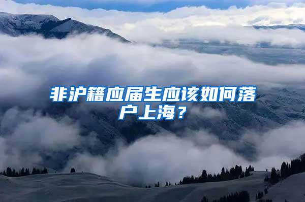 非沪籍应届生应该如何落户上海？