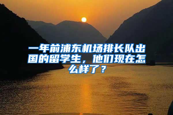 一年前浦东机场排长队出国的留学生，他们现在怎么样了？