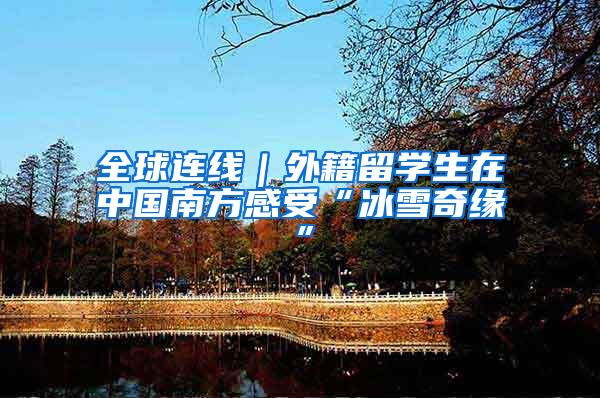 全球连线｜外籍留学生在中国南方感受“冰雪奇缘”