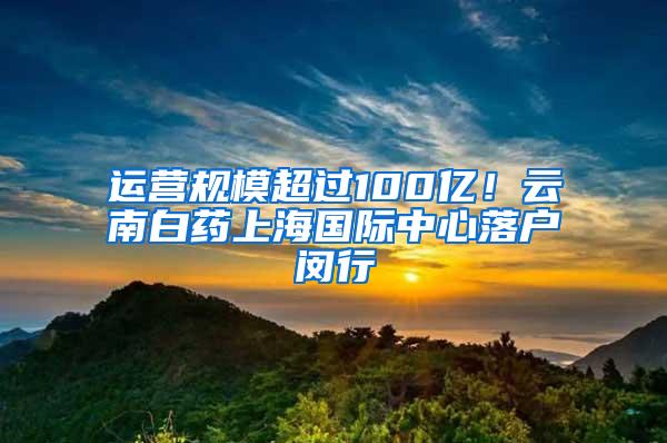 运营规模超过100亿！云南白药上海国际中心落户闵行