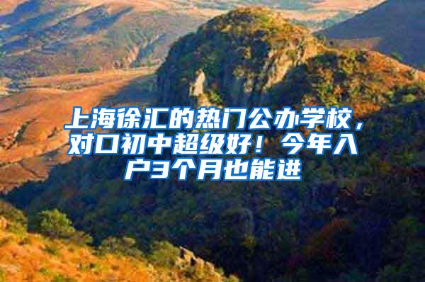 上海徐汇的热门公办学校，对口初中超级好！今年入户3个月也能进