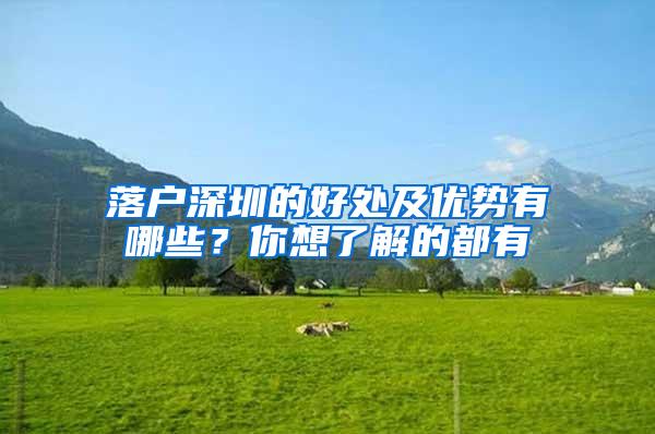落户深圳的好处及优势有哪些？你想了解的都有