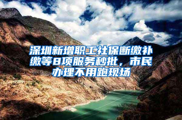 深圳新增职工社保断缴补缴等8项服务秒批，市民办理不用跑现场